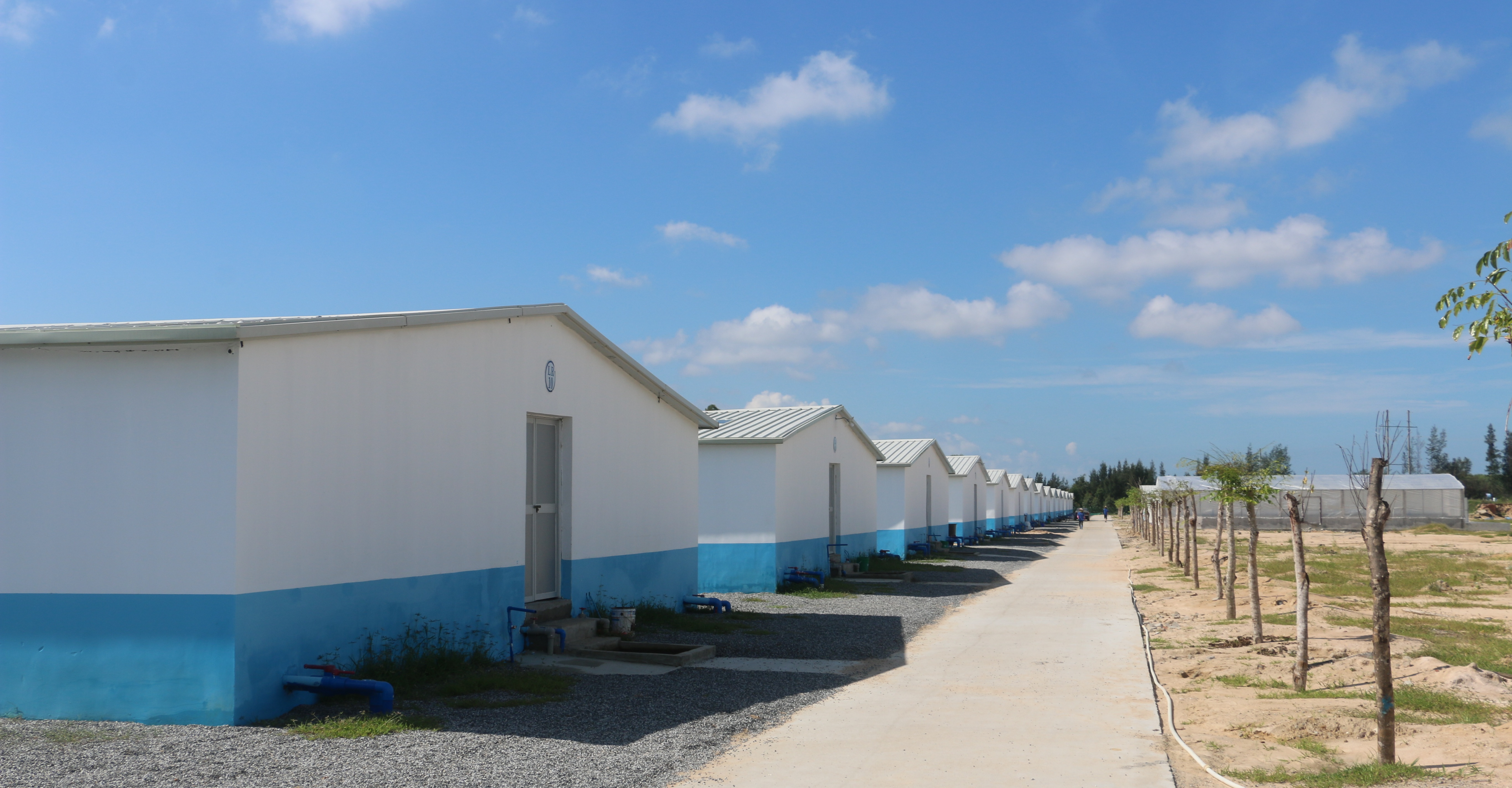 整齐的育苗车间