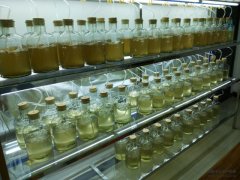 优质的开口饵料